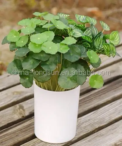 LSD-20160724931 Artificial Succulent Plant Desert Rose/Adenium Obesum Artificial Flower Green Plant Table Decoration Branches