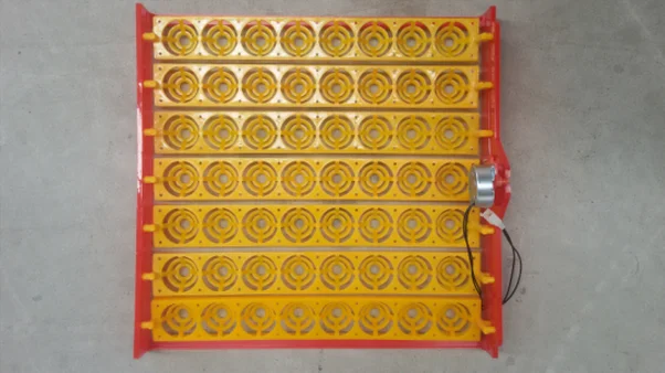 Недорогой инкубатор для куриных яиц, инкубатор для 56 яиц, мини-инкубатор