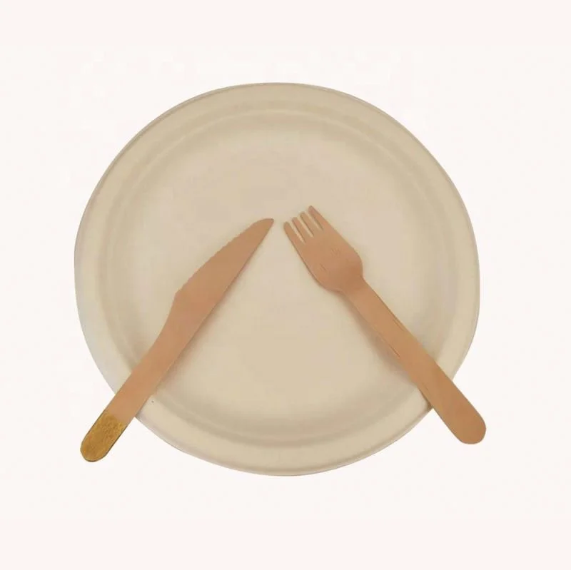 Зеленая одноразовая посуда из сахарного тростника на заказ, 9 дюймов, биоразлагаемая бумажная тарелка для сахарного тростника