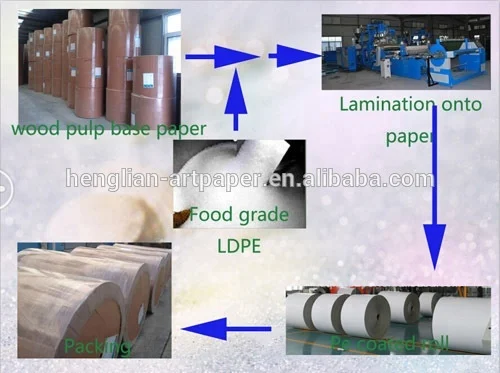 100% food grade pe coated paper for box