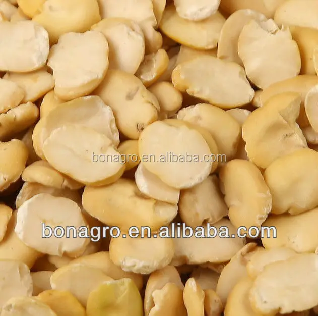 Сплит-фасоль фаба