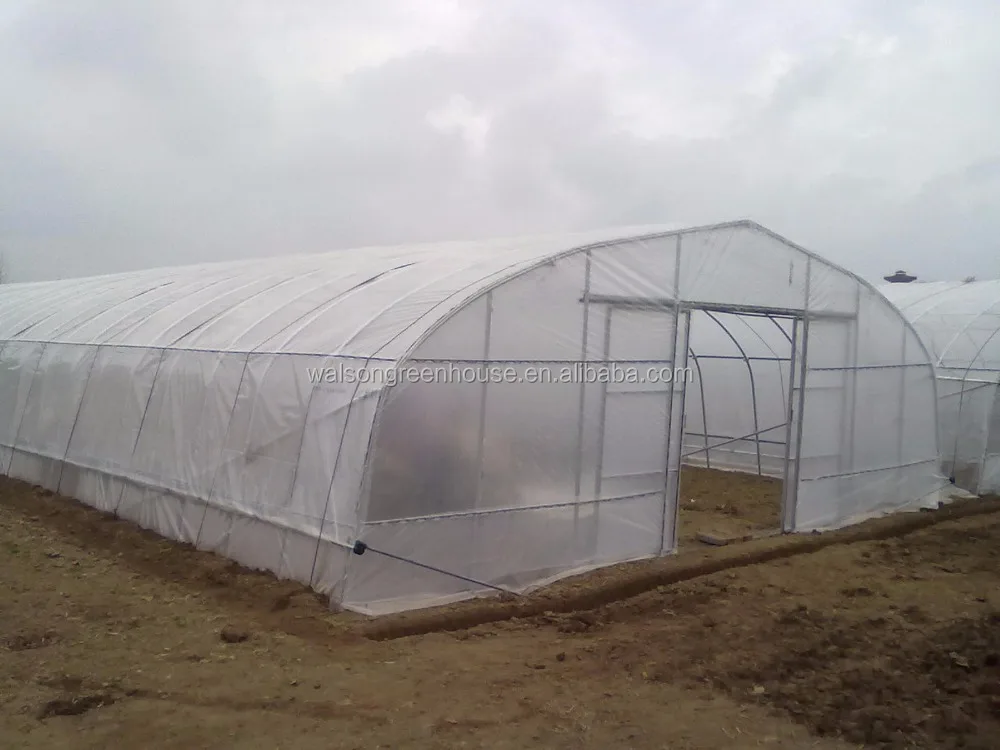 Quality Polyunnel Commercial Modern Display Single-span Glass Greenhouse For Sale