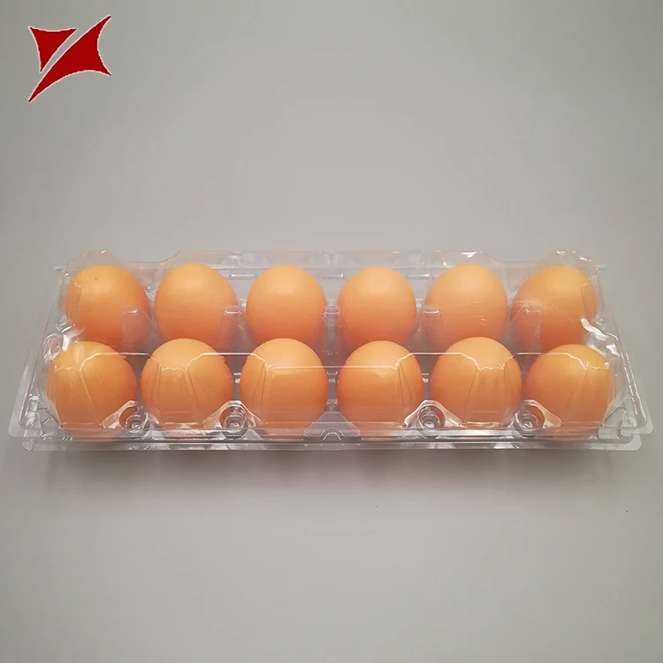 
PVC/PET disposable plastic egg tray for 10/20/30/ eggs 