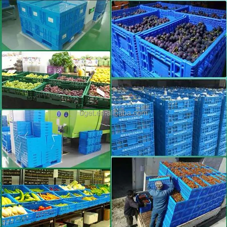 High quality plastic vegetable crates, folding plastic tomato crate, plastic fruit crates for sale