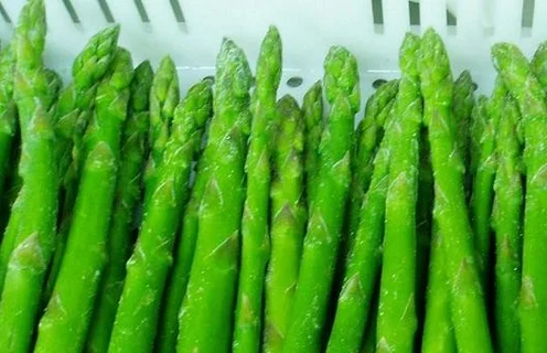 
Green high quality canned asparagus fresh vegetable 