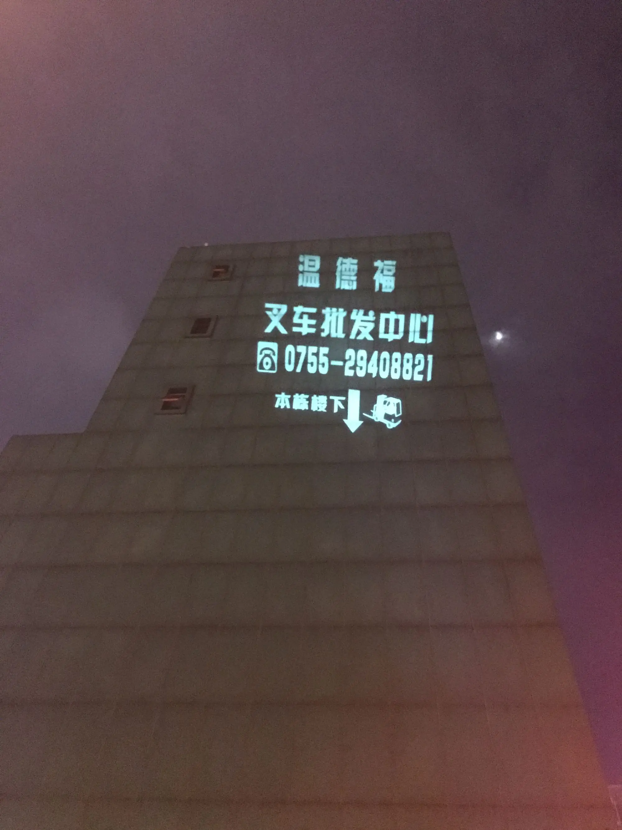 Newest Arrival popular design high lumens LED projector light 30W indoor  rotating