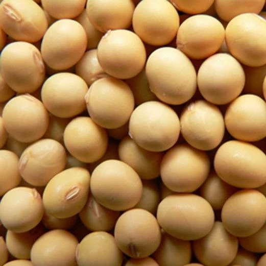 
Food grade Concentrated soy protein SPC used in pet foods, milk replacements for babies 