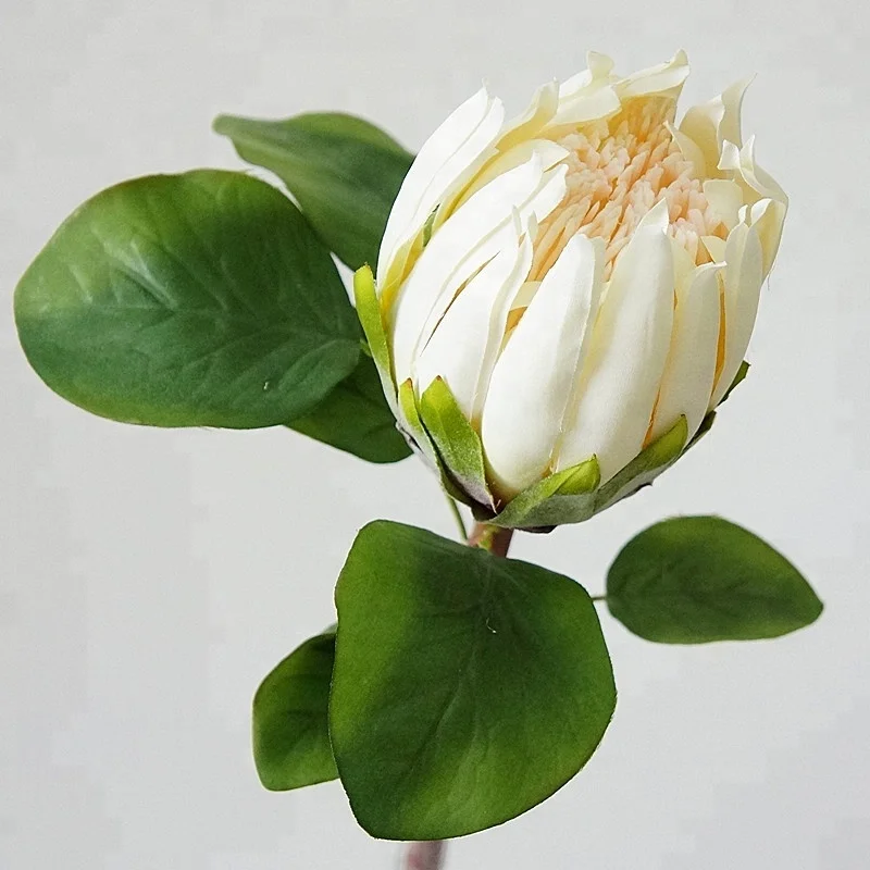 Factory China Artifical Flowers Hand Made Protea Cynaroides King Protea Big Flowers