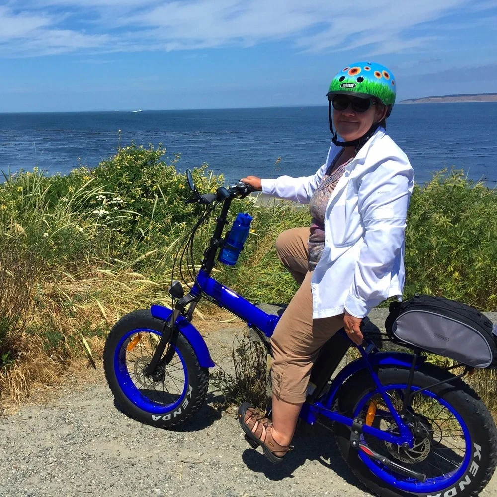 Cheap price electric fast charging bike fatboy 20inch electric folding bike