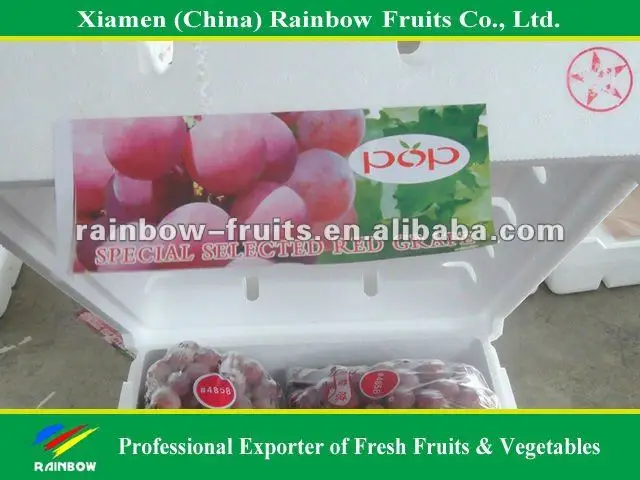 
Chinese fresh delicious red table globe grape wine grapes 