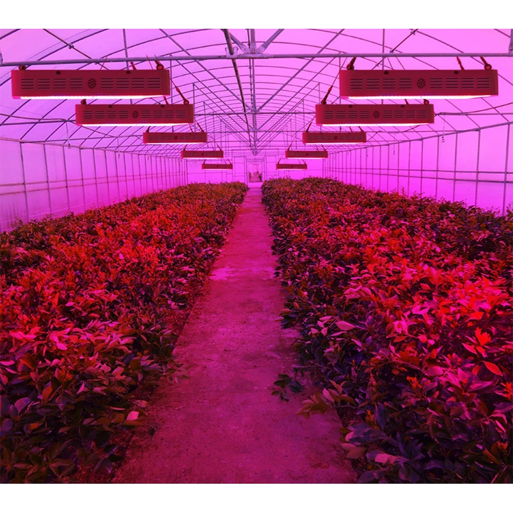 Indoor Garden Led Grow Light 1000w 1500w 1800w 2000w Viparspectra Led Grow Light For Medical Plant