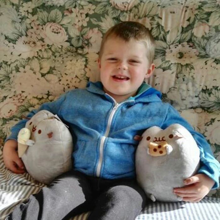 2016 Kawaii Brinquedos New fat cat stuffed animal for sale