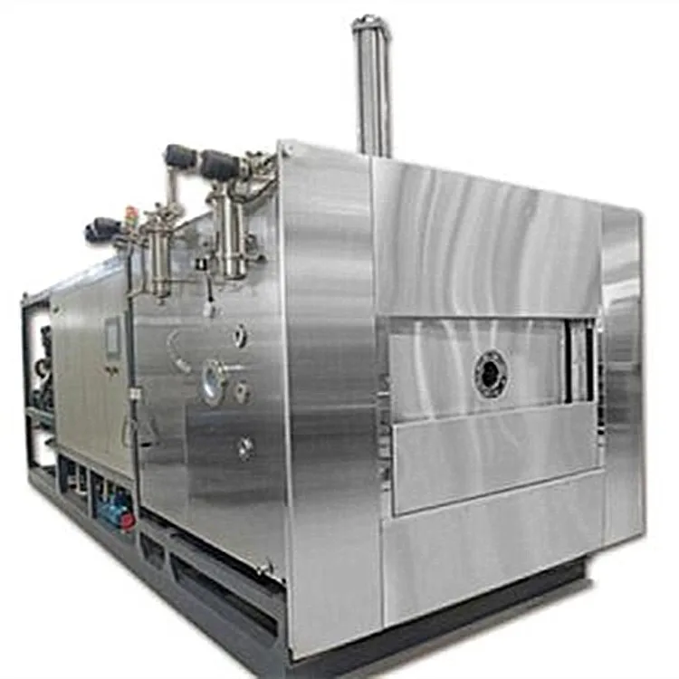 Stainless steel business lyophilizer tomato fruits and vegetables cold air drying frezze machine price