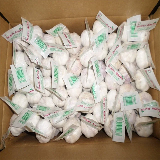 
Knoblauch knoflook czosnek Ail Aglio to fresh garlic importers China 