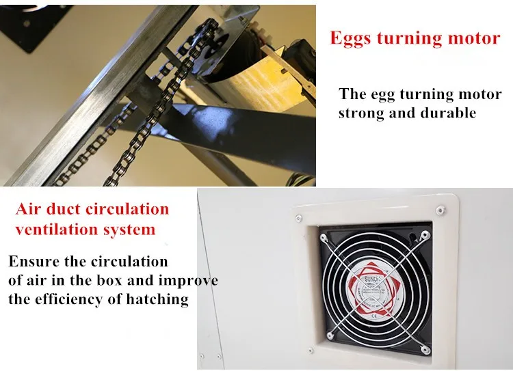 hatching 3000 quail egg incubator