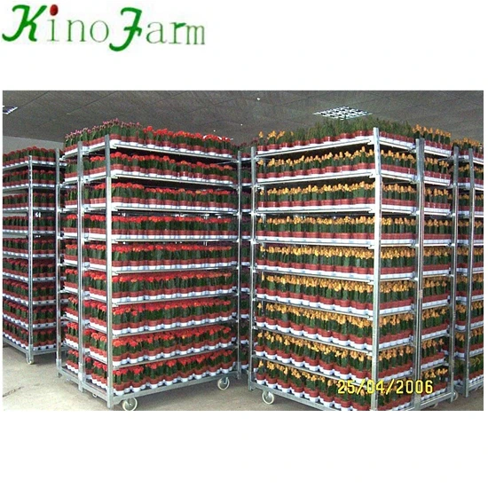  Оптовая продажа