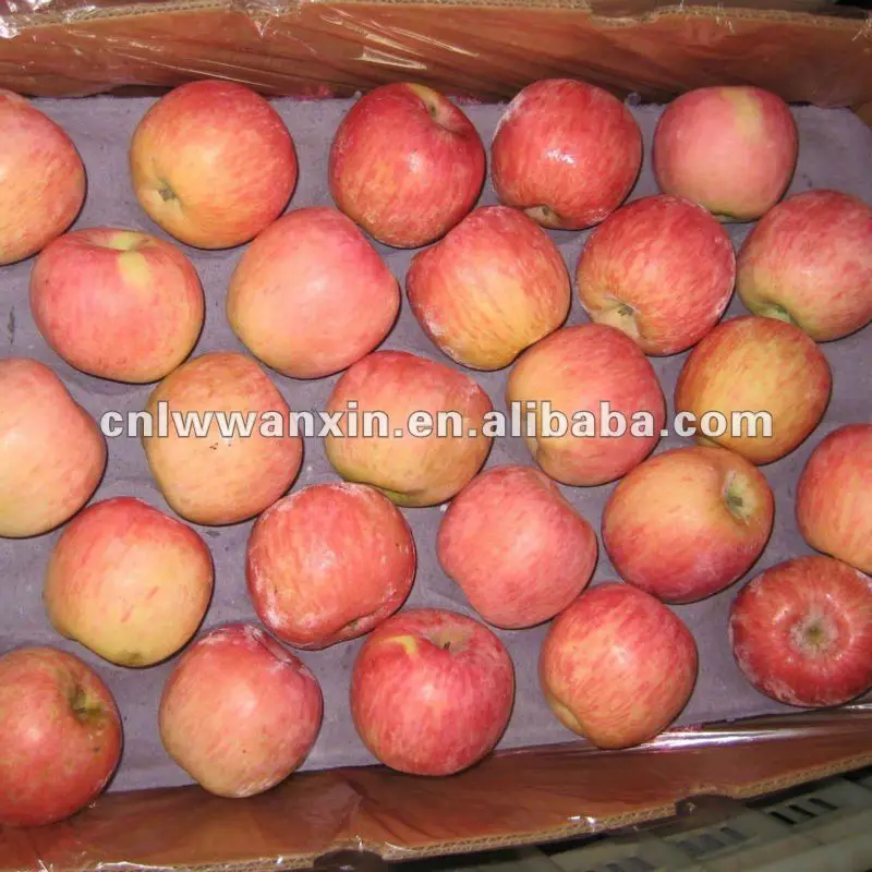 
2012 new season fuji apple size 100 113 125 