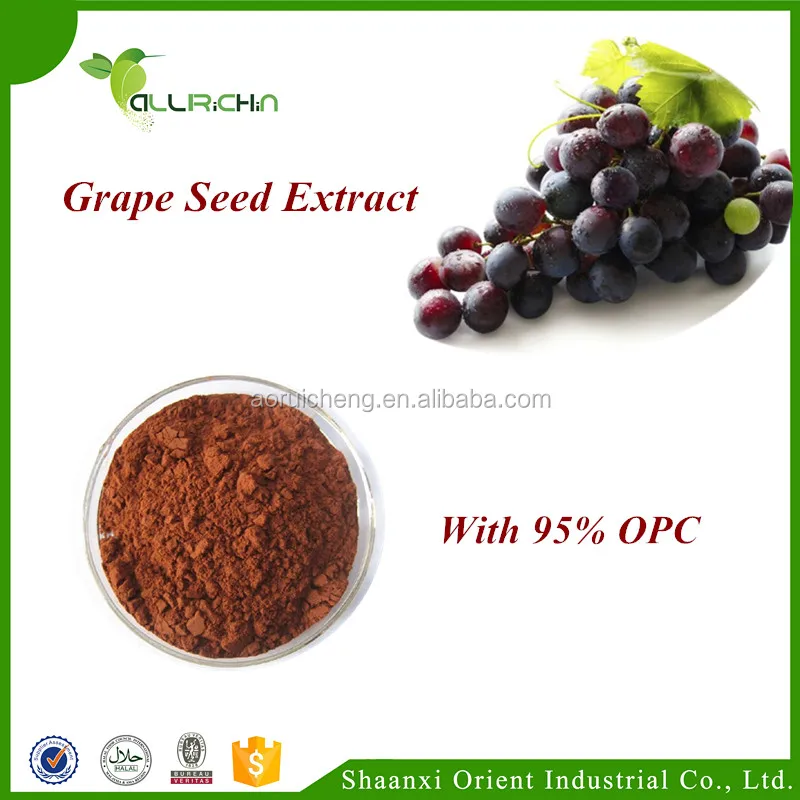 Grape Seed Extract  With 95% OPC and best price