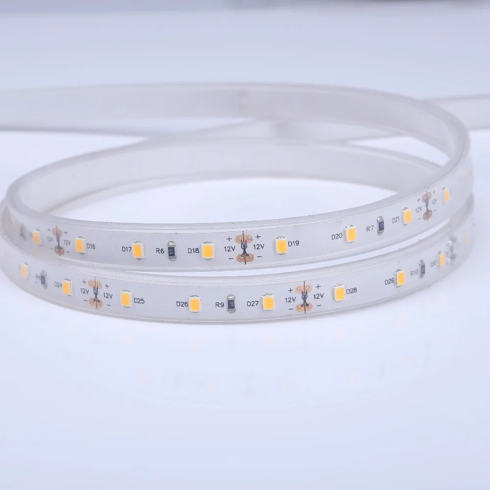 SMD 2216 5050 3528 3014 2835 5630 IP65 IP67 IP68 Waterproof Outdoor 24V Flex LED Stripe