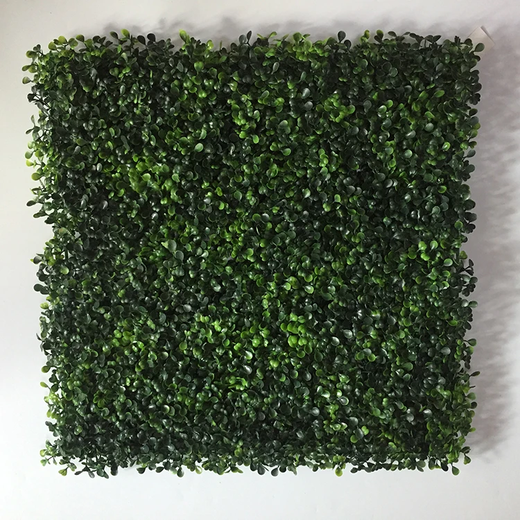 High quality UV resistance 50*50cm green artificial plant wall boxwood hedge for green outdoor wall
