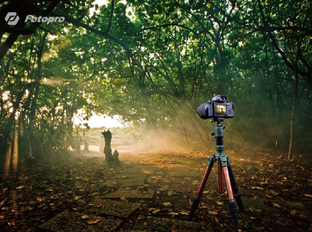 Fotopro yi gorilla dslr manfrotto photo tripod professional  camera