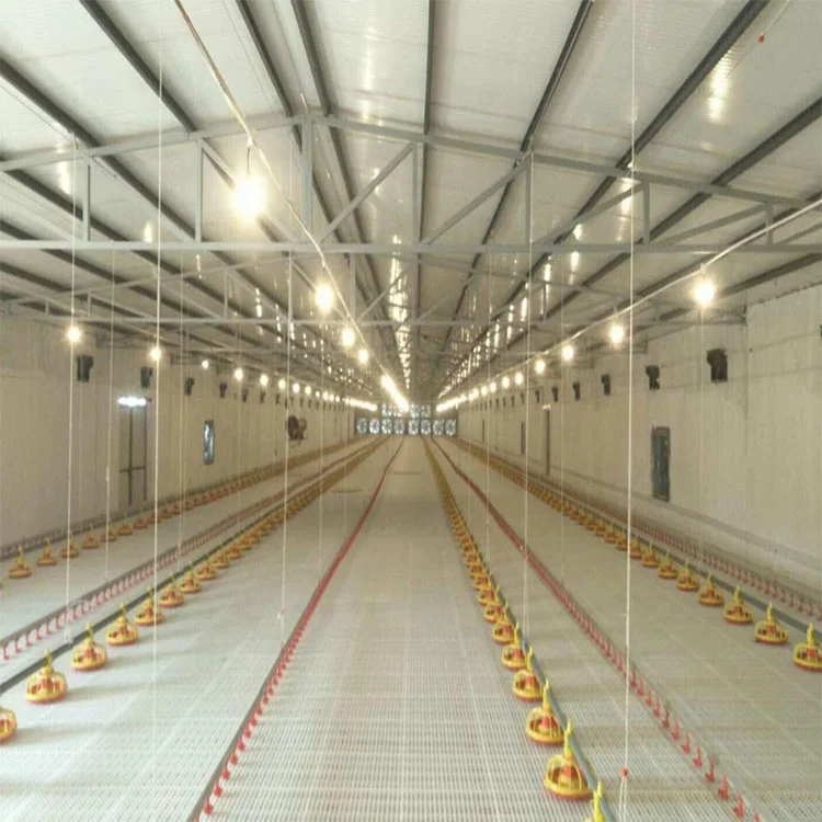 Quick Assemble Commerical Complete Controlled Poultry Shed for Chicken Farm