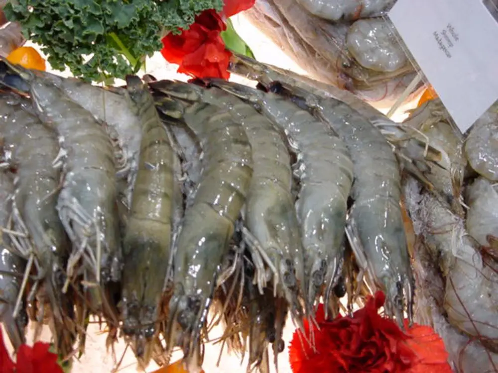 
Black Tiger Prawn (Vietnam, Indonesia, Madagascar) 