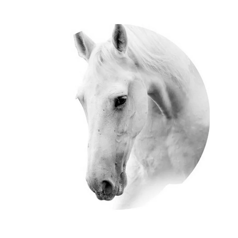 Тигр фотографии животные картины на холсте картина готова повесить стену Декор цифровая печать современное искусство Печать Топ