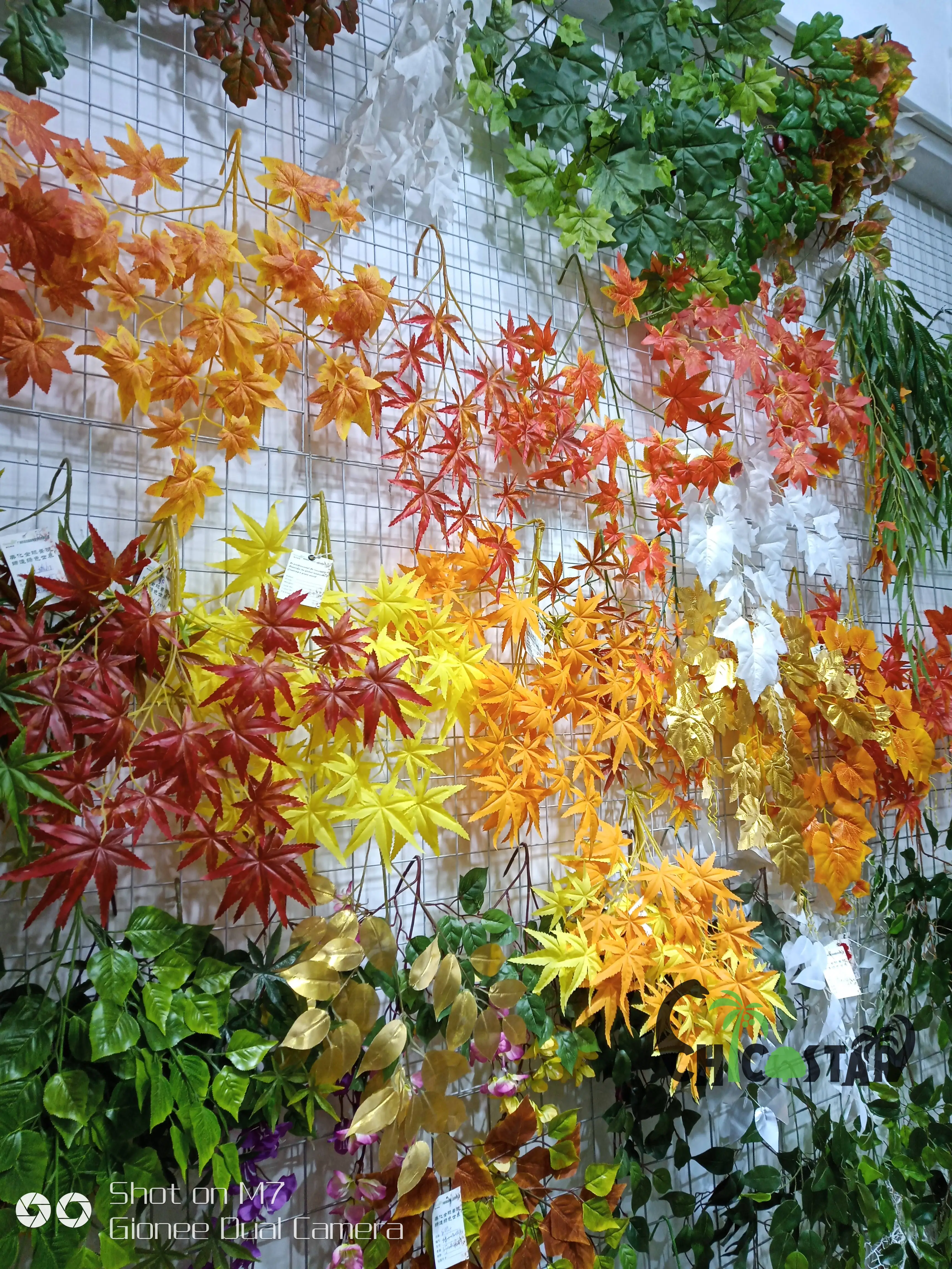 Wholesale indoor wooden artificial mini banyan tree for home decoration