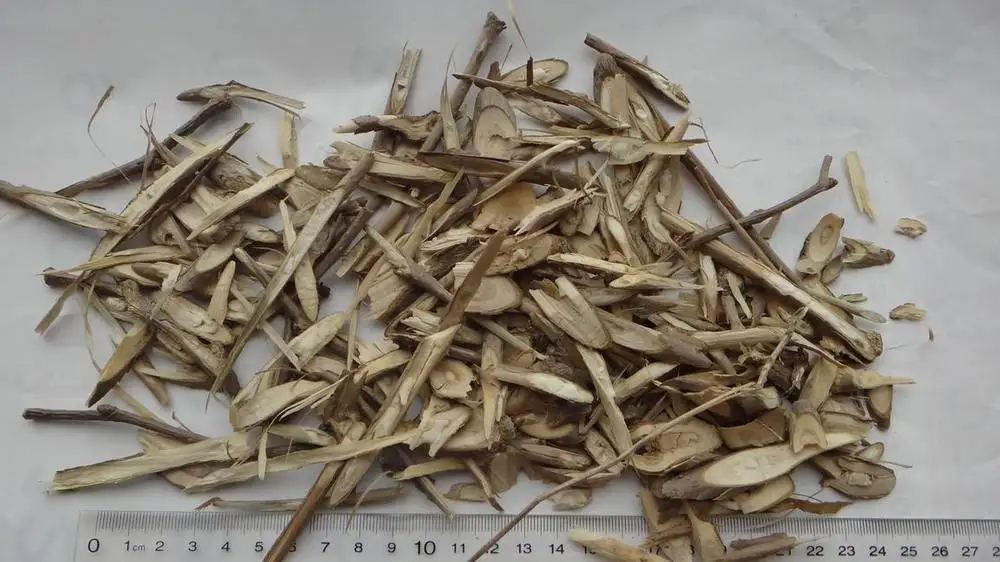 
Light yellow Acanthopanax Root for health tea Eleutherococcus root 