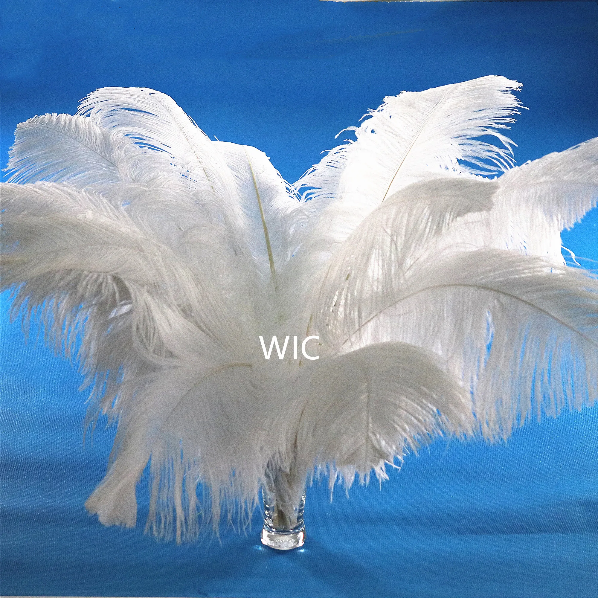 28-30in/70-75cm Ostrich Pluma Black Cheap Decoration Bleached White Ostrich Feathers