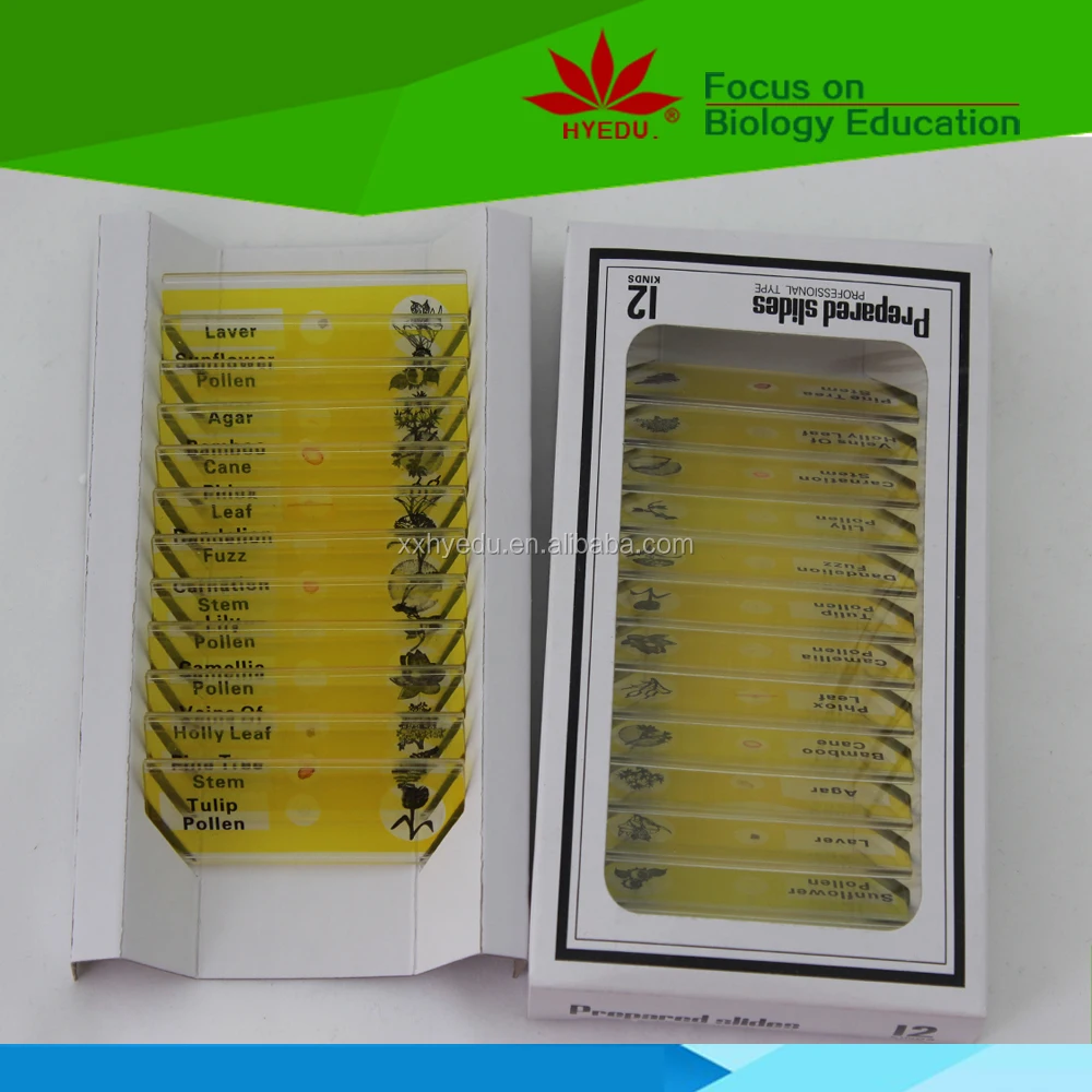 Plastic Microscope Prepared Slides Educational Science Toys Your Best Choice for Teaching Aids of 12pcs Plant Flower for Kids Ce
