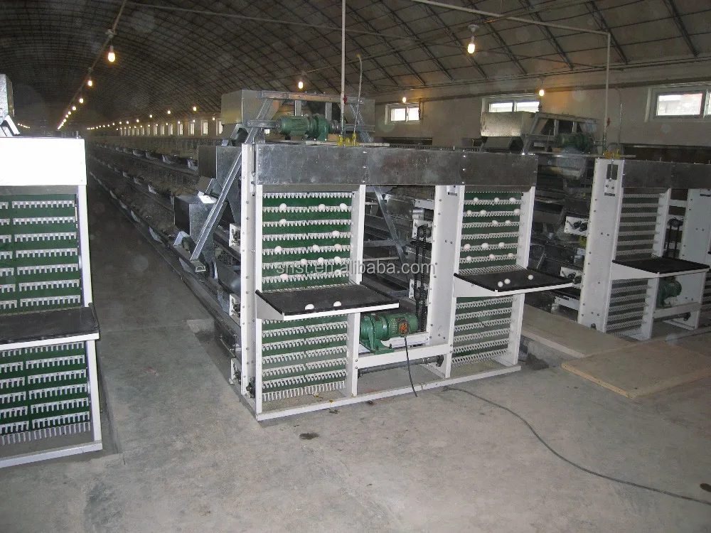 
Chicken layer battery cage for layer chicken popular in Africa market 