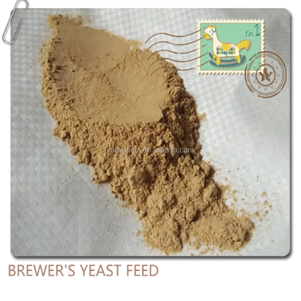 Instant dry brewers yeast powder made in Cangzhou Yatai