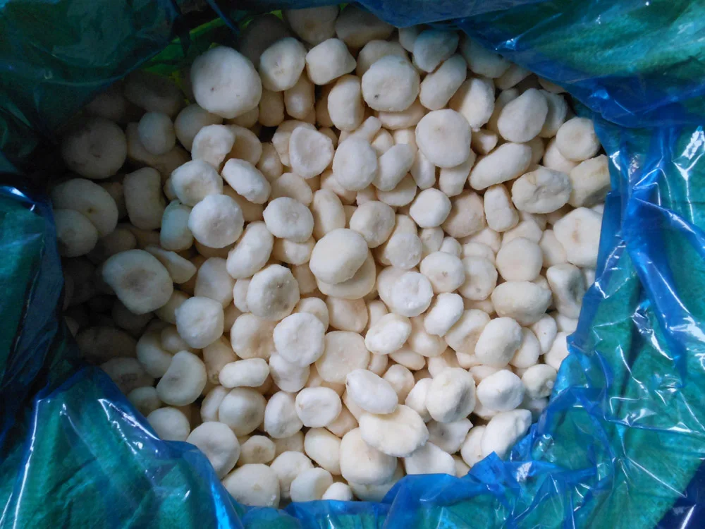 IQF Vegetable Frozen Water Chestnut China Supplier