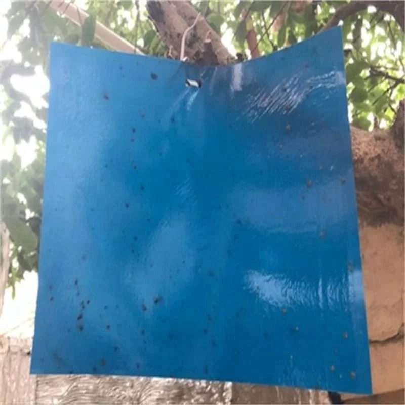 hot sale Blue Glue Traps Two-sided Glues control insect