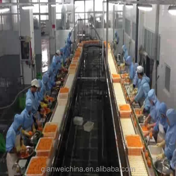 Линия по переработке апельсинового сока/проект под ключ для консервированной линии апельсина-мандарина