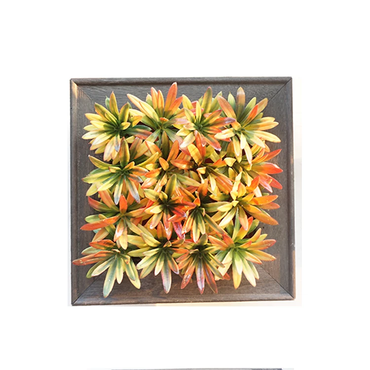 Fashion design home decor decorative succulent plant hanging wall photo plant plastic frame
