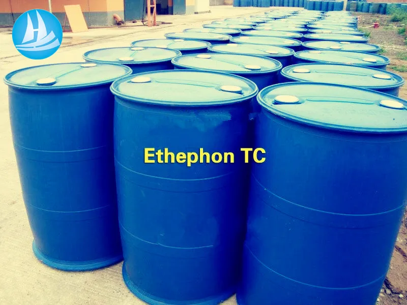 banana ripening agent/ripener  mango /fresh mango ripening ethylene