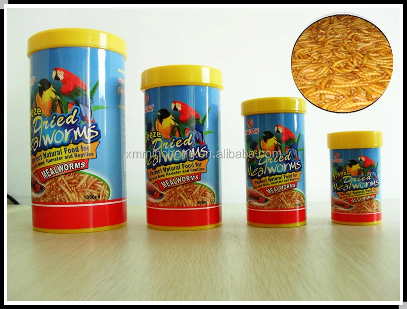 Support customized high-nutrient, high-protein freeze-dried mealworms for birds