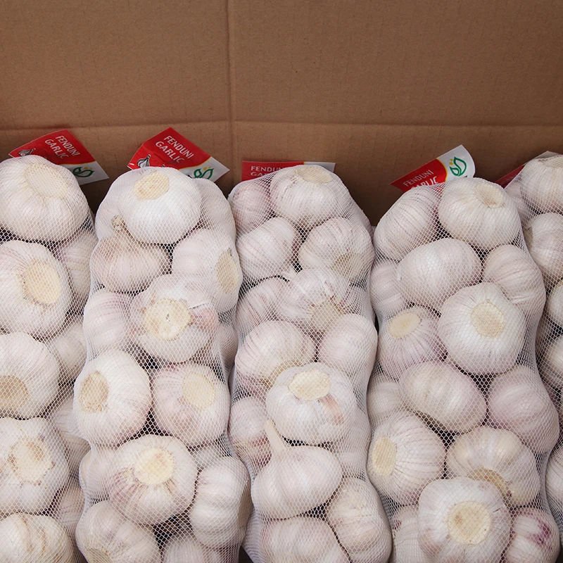 
2021 Normal White Fresh Garlic from Jining Fenduni Foodstuff Co., Ltd 