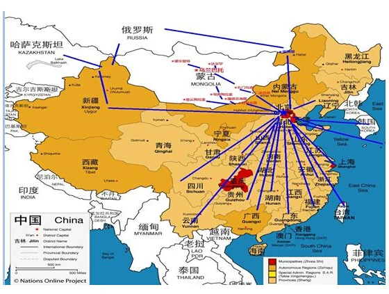 freight forwarder agent offers cheap sea freight rates from China to Argentina  shipping company