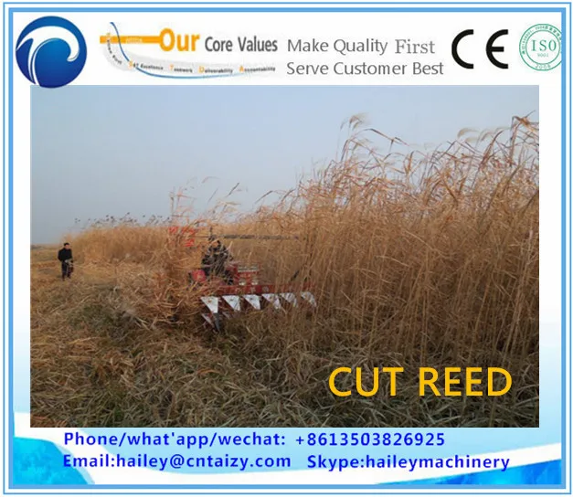 Corn/alfalfa/soybean/mint/jute/kenaf/wheat/maize/chilli/paddy harvester