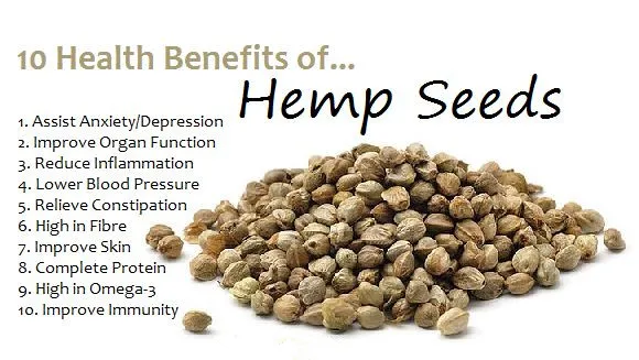 
Best Quality Hempseed Protein Hemp Seed P.E. Powder Hemp Seed Extract 