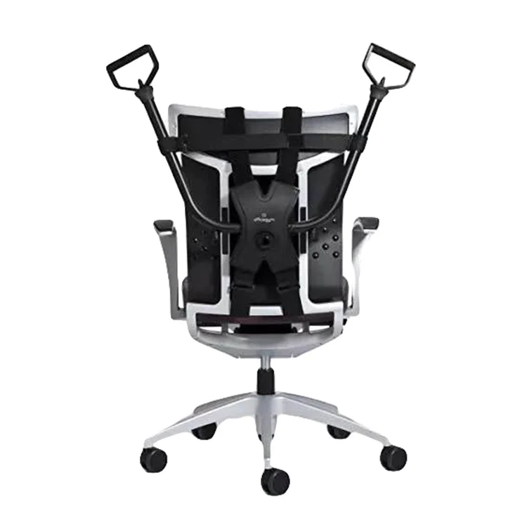 Wholesale Professional Office Home Gym Body Fitness Exercise Equipment chair