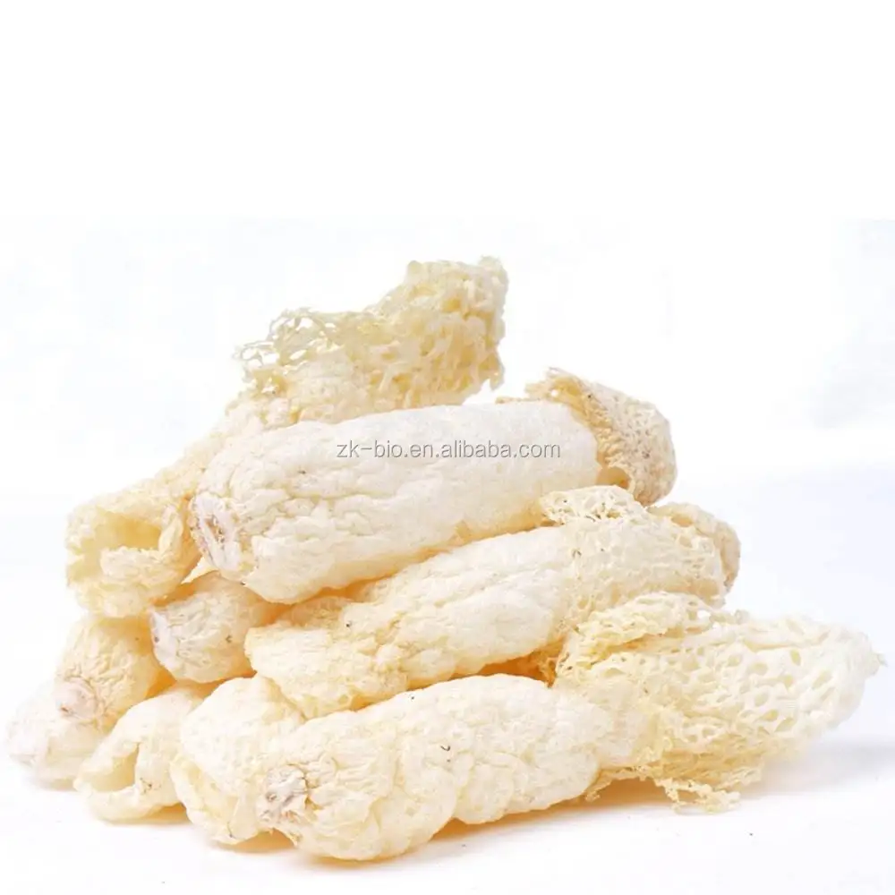 Органический порошковый экстракт Dictyophora дубликата