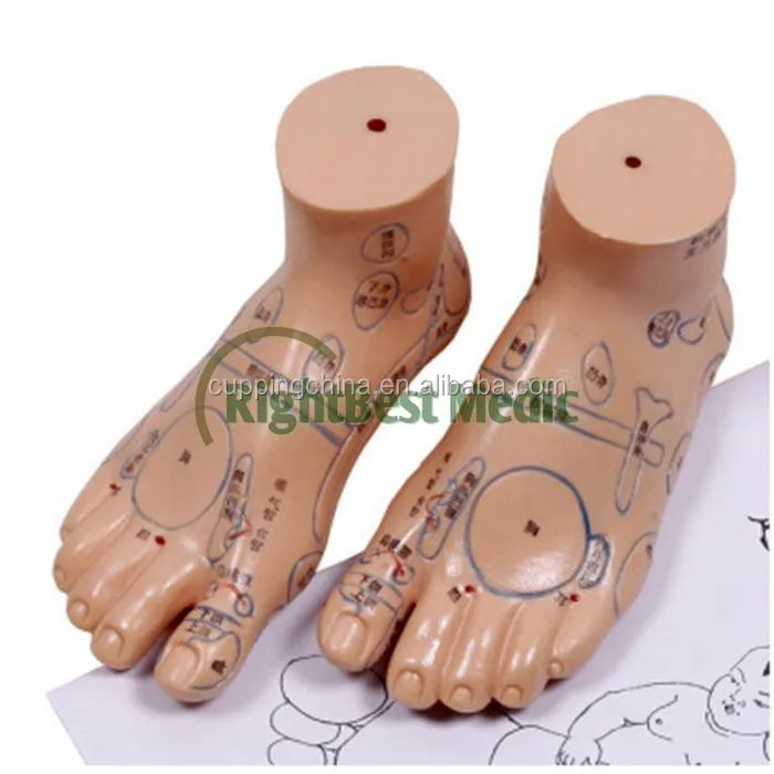 17CM English Medical Acupuncture Model Foot for traditional Chinese therapy medical science Reflexology Zone Model Right &Left