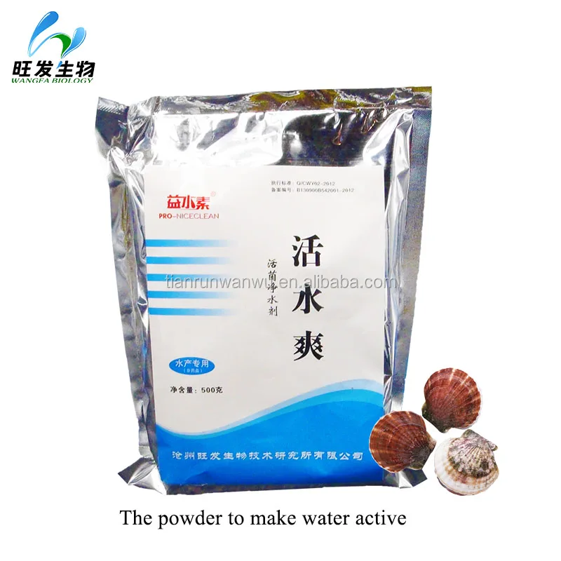 Beneficial microbes powder for aquaculture pond water