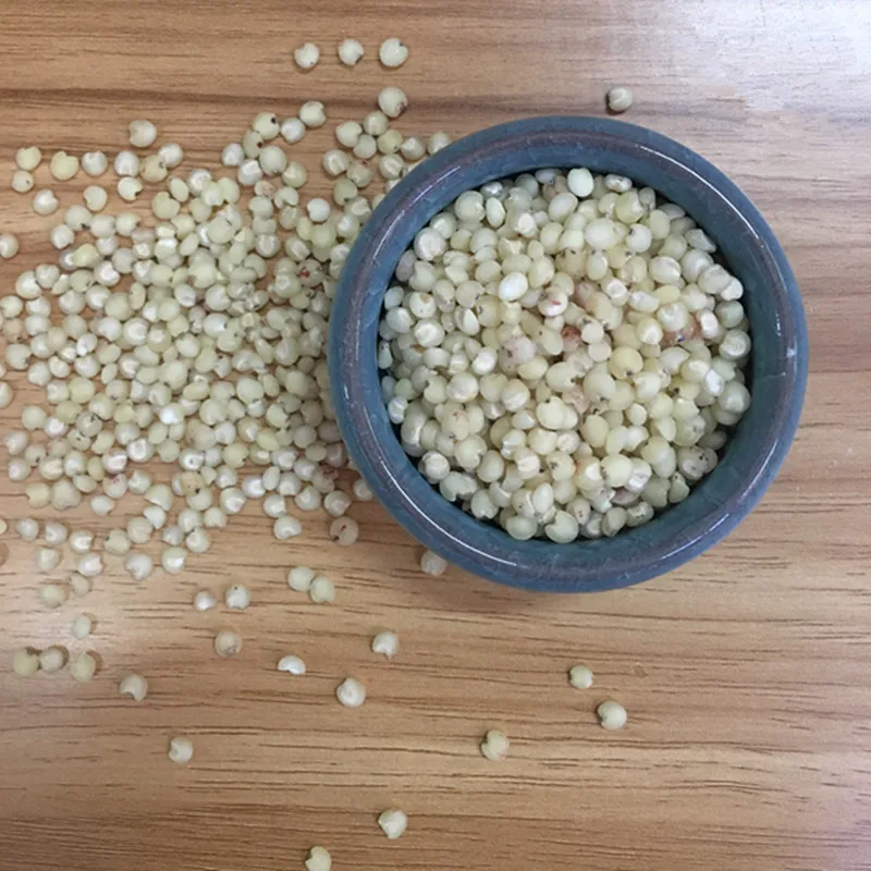 
Sweet Sorghum Seed for Sale 