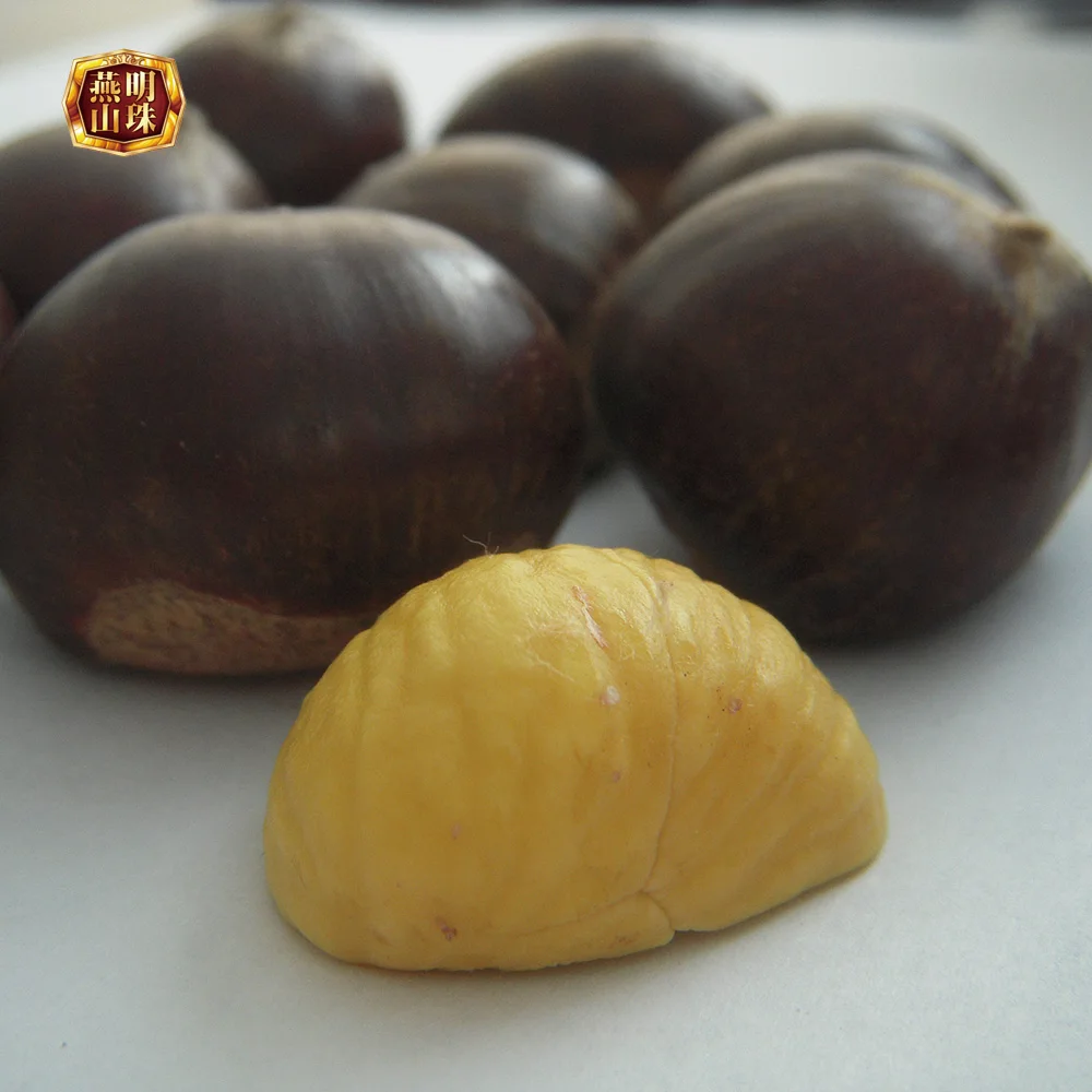 Поставка органических свежих китайских грудных орехов на продажу